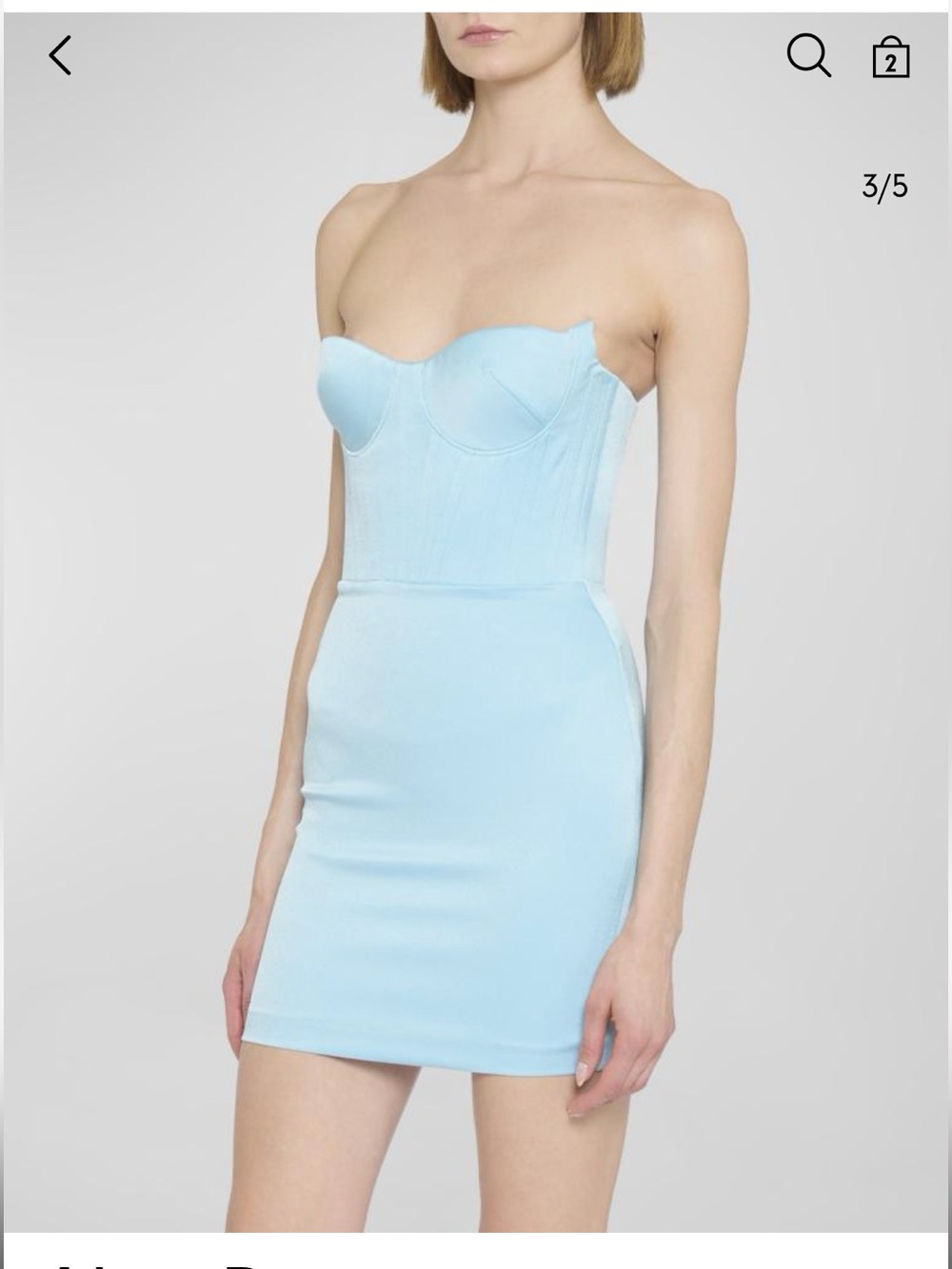 Alex Perry Harper corset mini dress